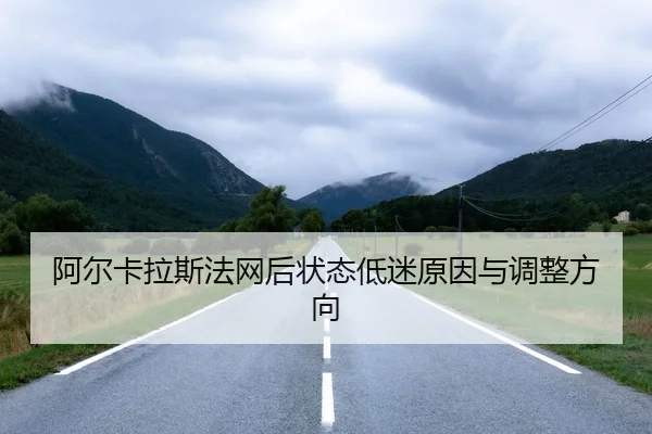 a-er-ka-la-si-fa-wang-hou-zhuang-tai-di-mi-yuan-yin-yu-tiao-zheng-fang-xiang-3-684.jpg
