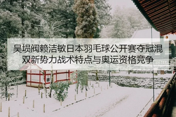 吴埙阀赖洁敏日本羽毛球公开赛夺冠混双新势力战术特点与奥运资格竞争