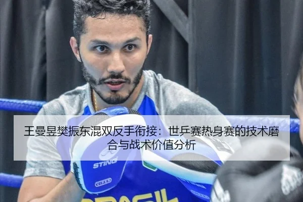 王曼昱樊振东混双反手衔接：世乒赛热身赛的技术磨合与战术价值分析